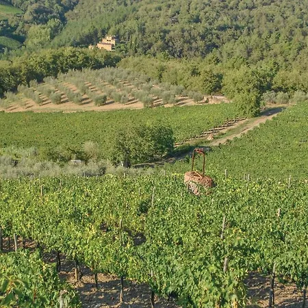 Pratinovi * Pontassieve